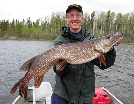 Trophy northern pike - Manitoba Fishing lodges